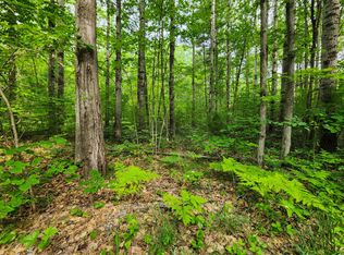 25&26 Newell Ave, Topinabee, MI 49791