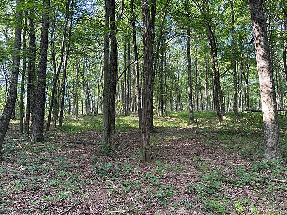 4th image of 6741 Big Spruce Little Bear Rd