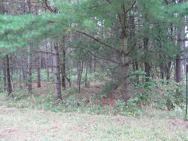 2nd image of W5799 16th St E
