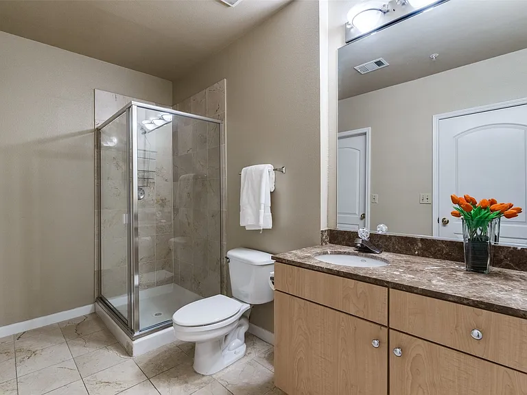 3225 Turtle Creek Blvd #1017 — Photo 11