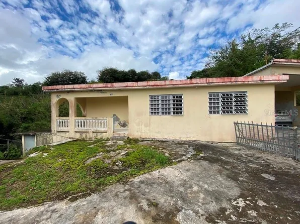 3-Y 3a Km 4.0 Pr #913, San Lorenzo, PR 00754