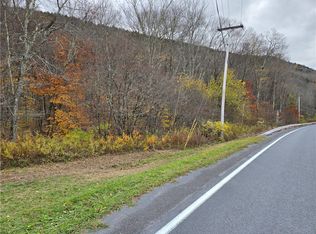 LOT 7 County Highway 6, Margaretville, NY 12455