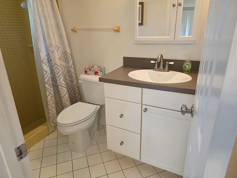 5 Black Cherry Dr — Photo 11