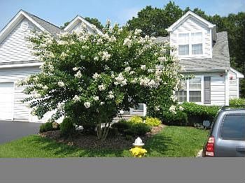 2nd image of 24 Gettysburg Dr