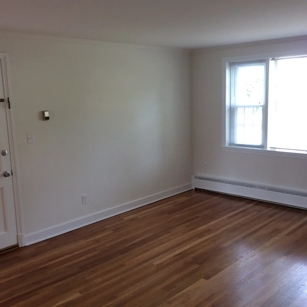 Living Room - 221 Monticello Ave #C