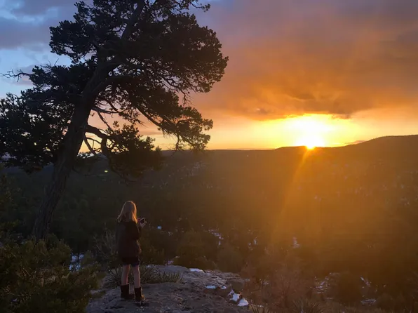 222 Raven Rd, Tijeras, NM 87059