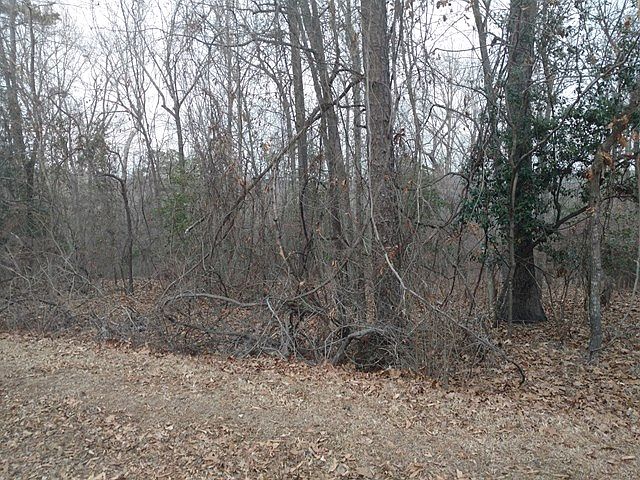 2nd image of 5905 Brookland Dr
