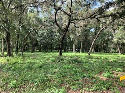 0 Wc #48, Bushnell, FL, 33513