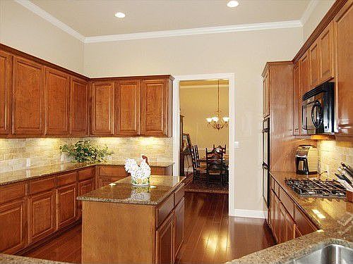 4th image of 9824 Palmbrook Dr