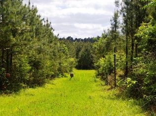 617 Moaks Creek Rd SE, Bogue Chitto, MS 39629