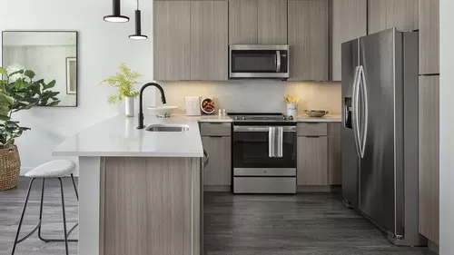Apartment Kitchen with Stainless Steel Appliances, quartz counters and wood-like floors. - Griffis Cheesman Park