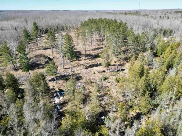 3205 County Road Sy, Arnold, MI 49819