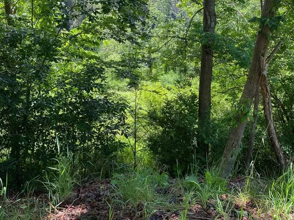 0 Balsam Rd, Wellsboro, PA 16901