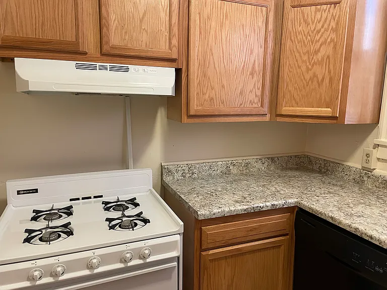 5914 Walnut St #301 — Photo 6
