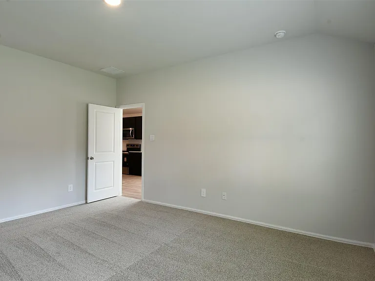 1233 Wilkins Valley St — Photo 8