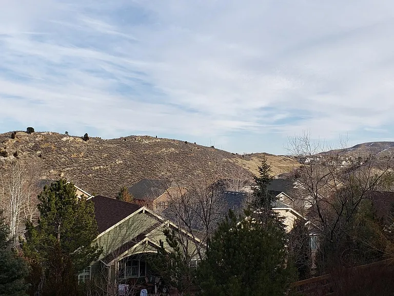 View from deck