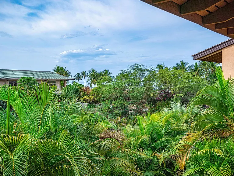 Wailea Alanui Dr — Photo 10