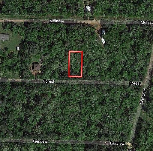 2nd image of Forest St