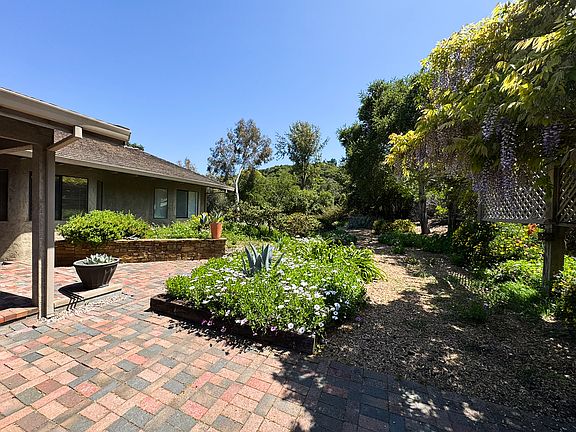 Garden by front door