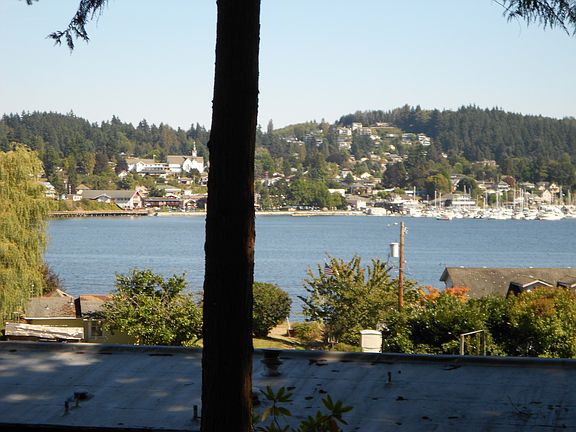 View From Behind The Home