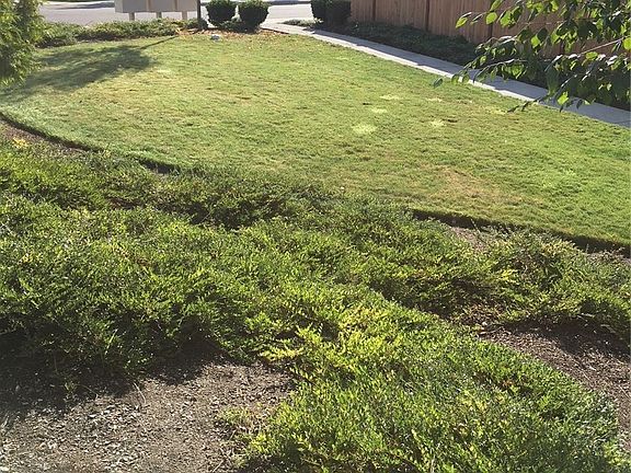 4th image of 17322 115th Ave E