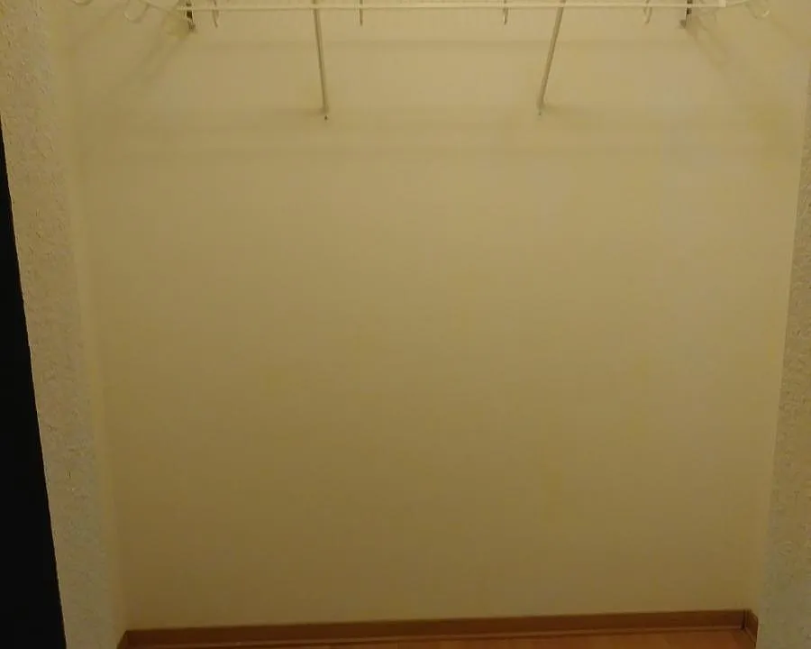Walk-in closet