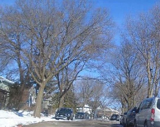 Exterior Neighborhood (street photo)