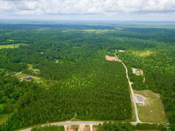 0 George Wise Rd, Carriere, MS 39426