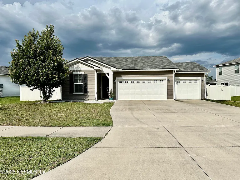 1443 Tropical Pine Cv — Photo 2