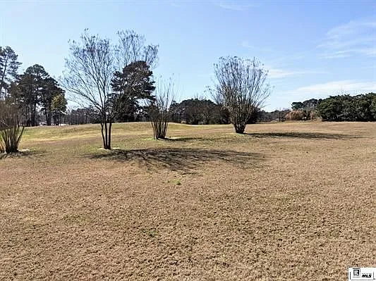 516 Pine Hills Dr — Photo 14