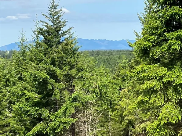 3 E Lone Fir Drive Road E, Shelton, WA 98584