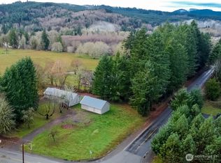 175 stevens Road, Doty, WA 98532