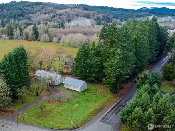 175 stevens Road, Doty, WA 98532