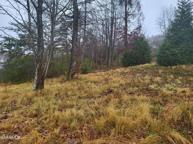1st image of 1930 Cascade Falls Ln