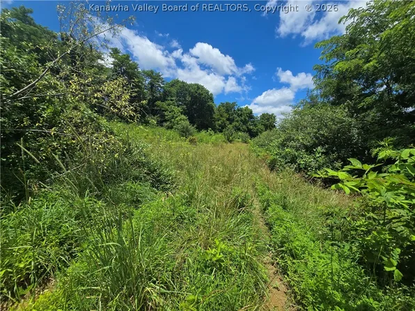 0 Peewee Hill Rd, Sandyville, WV 25275