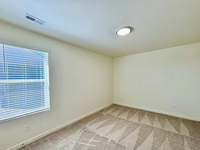 6395 Calla Lily St — Photo 22