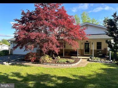 525 Stony Ln, State College, PA, 16801