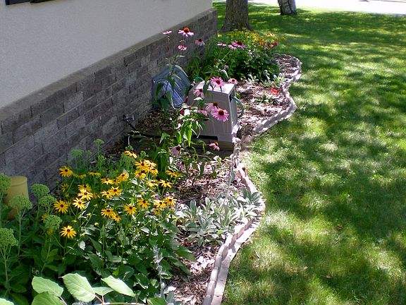 Perrenials at front of home