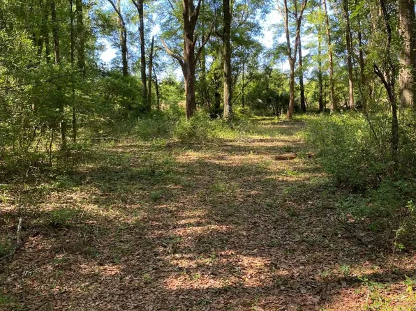 4 NW West South Dr Lot 127, Mayo, FL 32066