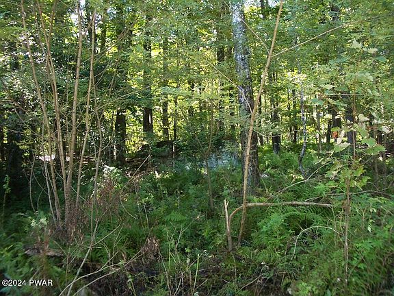 4th image of 3 Gilpin Rd