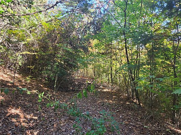 3rd image of 29 Elk Ridge Road