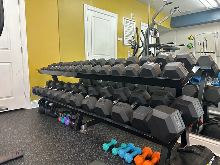 Free Weights