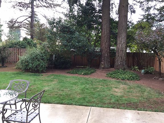 Backyard with large patio