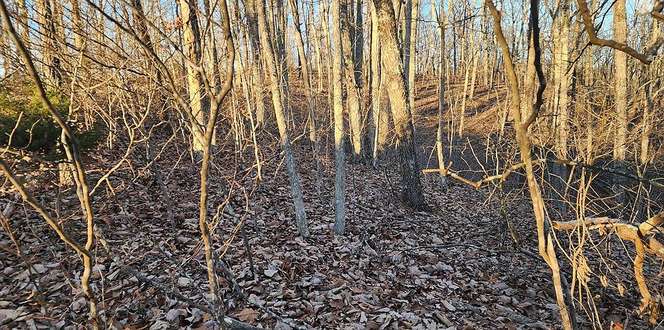 2nd image of LOT 39 Charles Dr