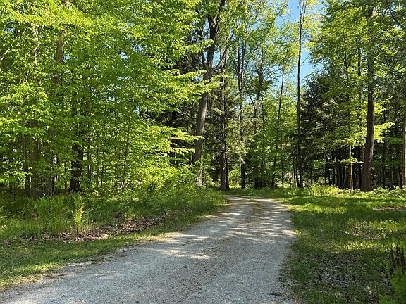 3rd image of 3532 Wilderness Trl