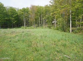 89 Thunder Hill Rd, Rensselaerville, NY 12147