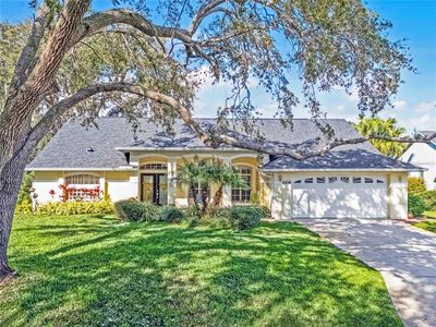 5219 Hammock Cir, Saint Cloud, FL, 34771