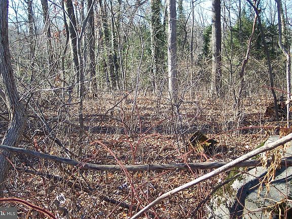 2nd image of 115 3rd Ave