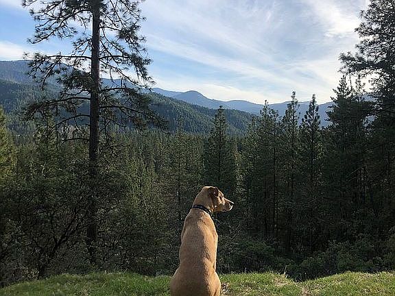 1,200 sq ft Landing/Yurt Pad