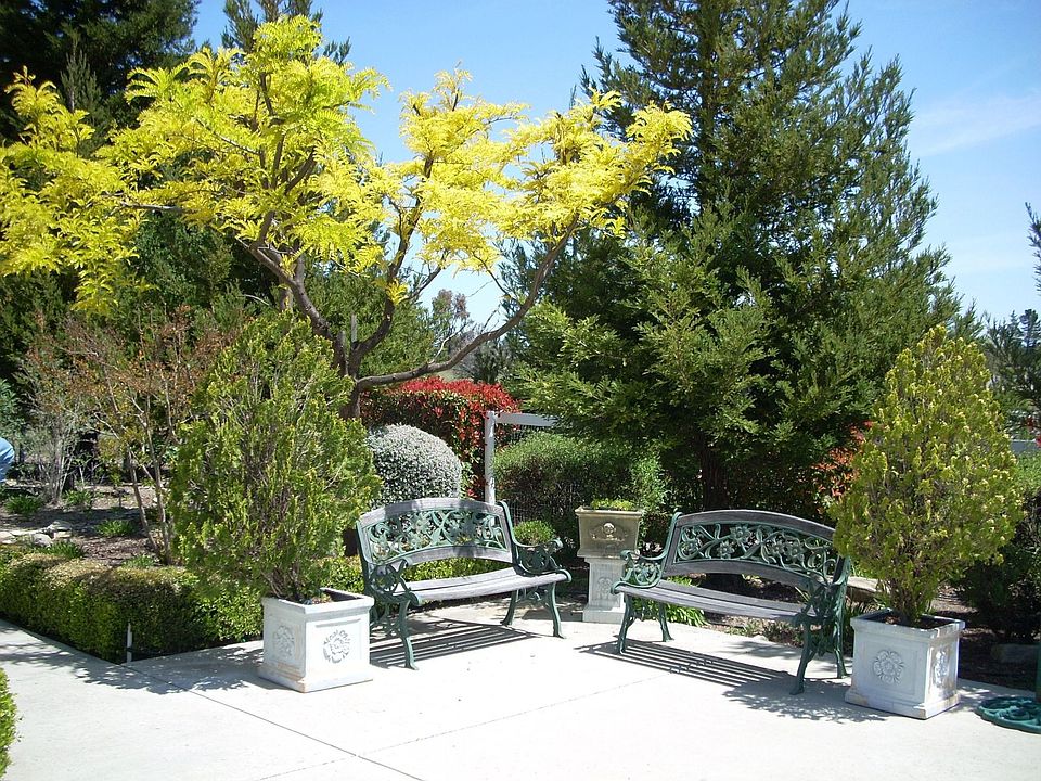 garden benches